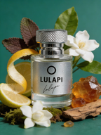 Lulapi M209 Invik Erkek Parfüm 50 ML